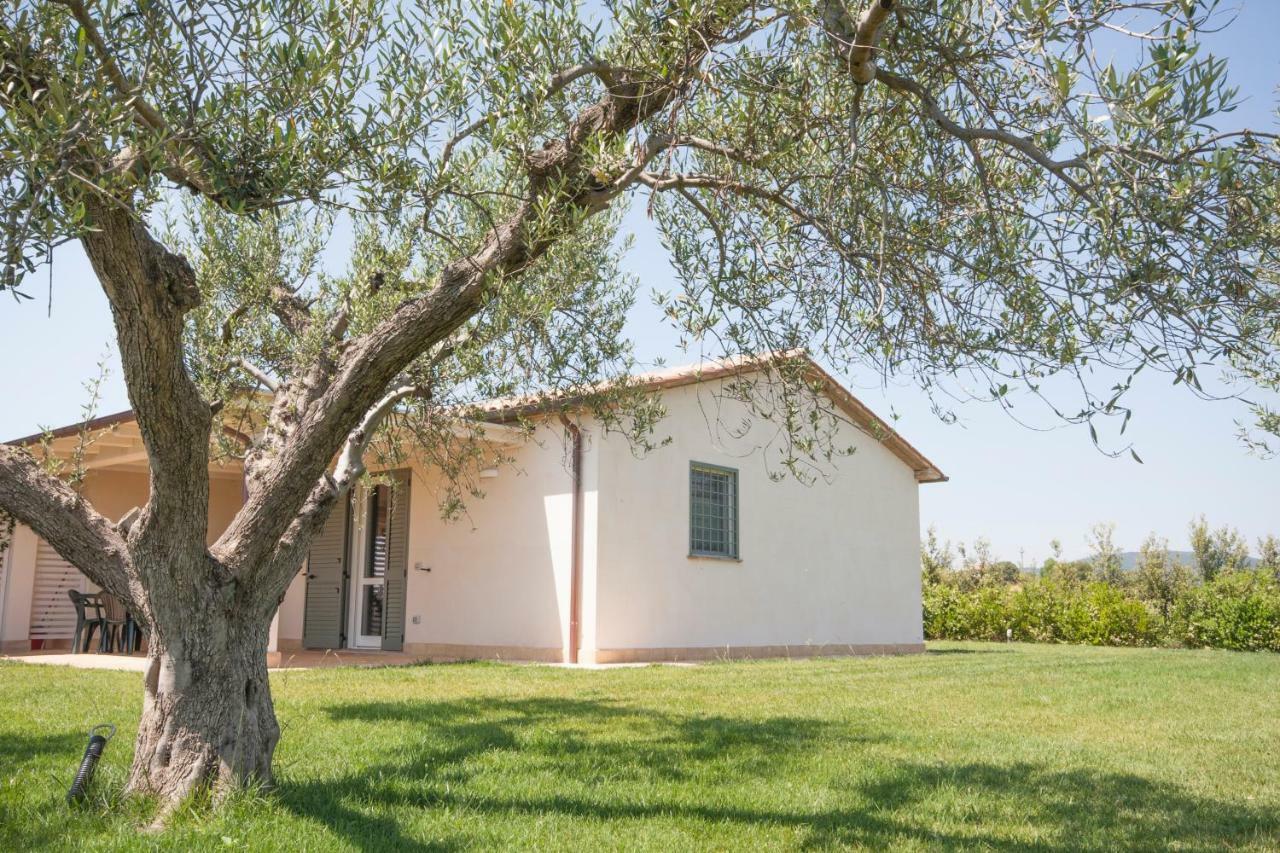 Agriturismo Il Mirto Pescia Romana Extérieur photo