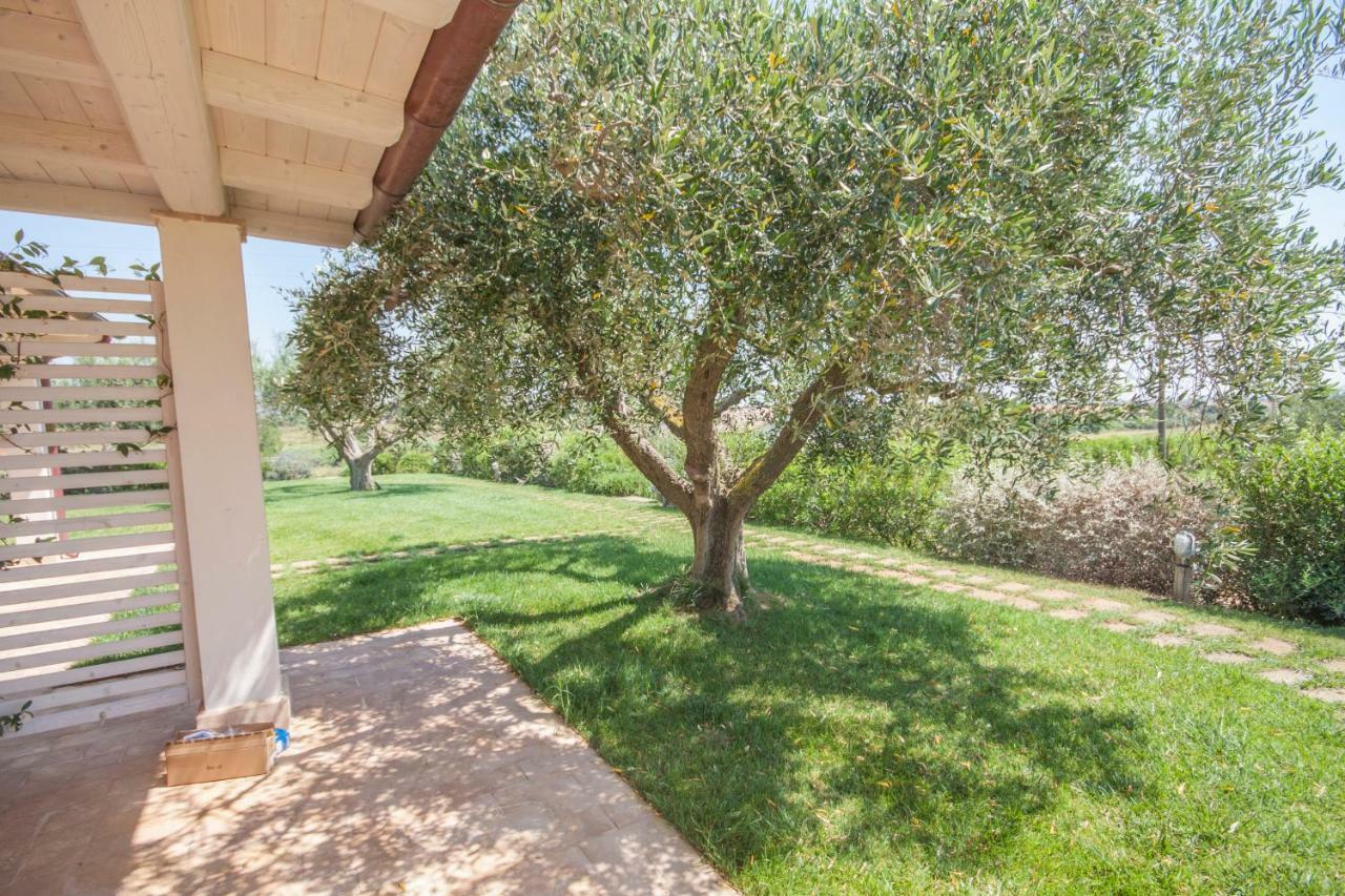 Agriturismo Il Mirto Pescia Romana Chambre photo